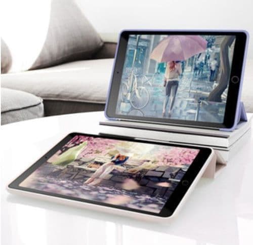 iPad 10.2 9th Gen Smart Stand Case Cover