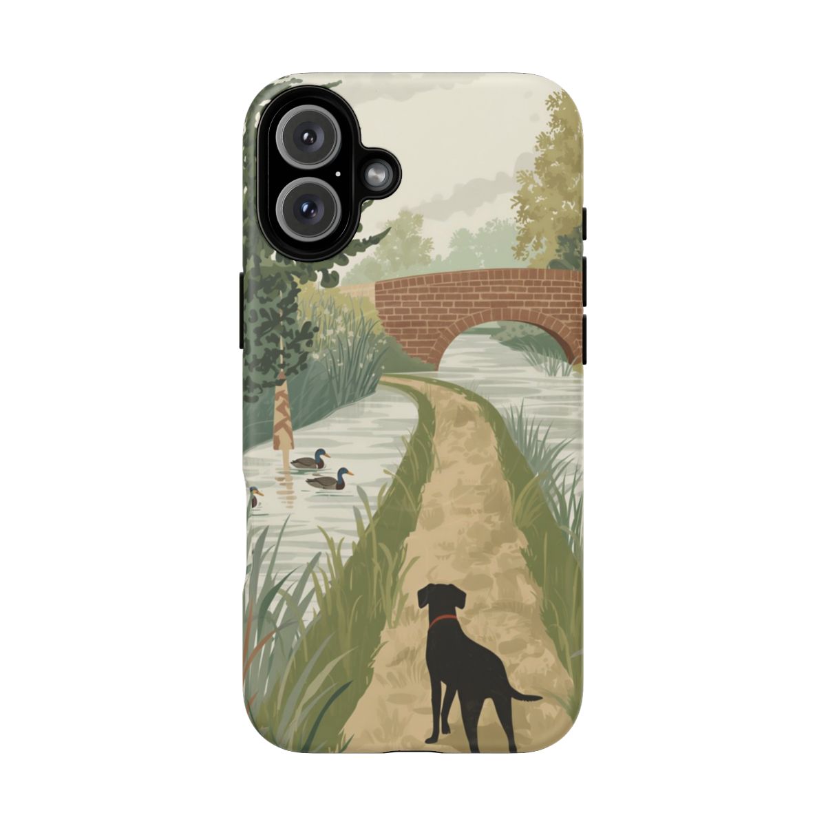 iPhone 16 Plus — Front