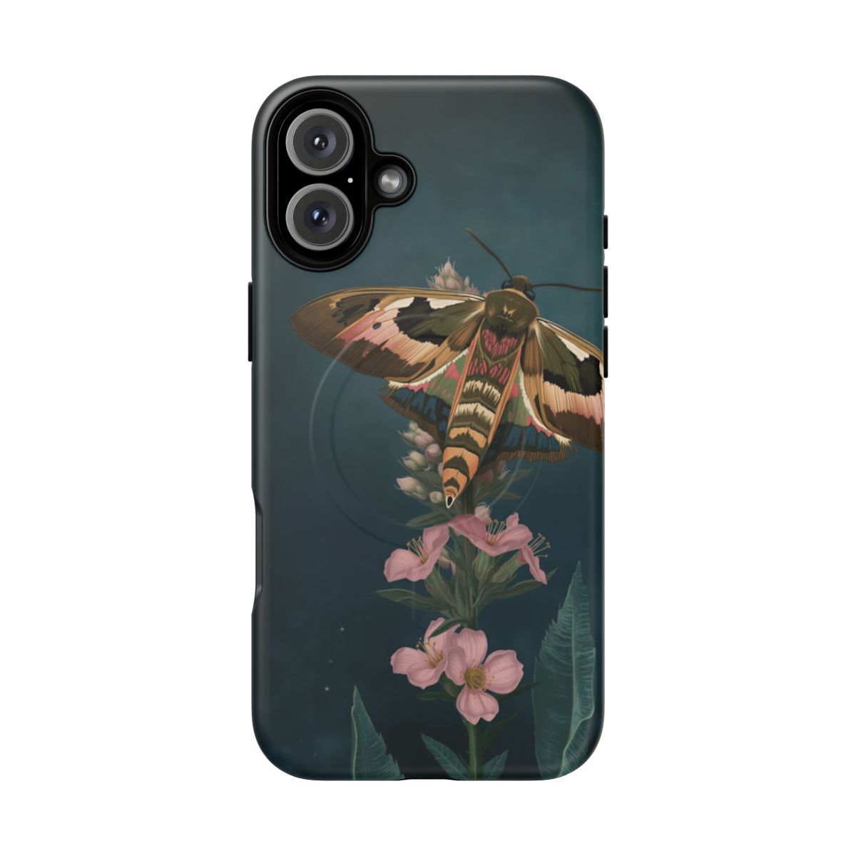 iPhone 16 Plus — Front